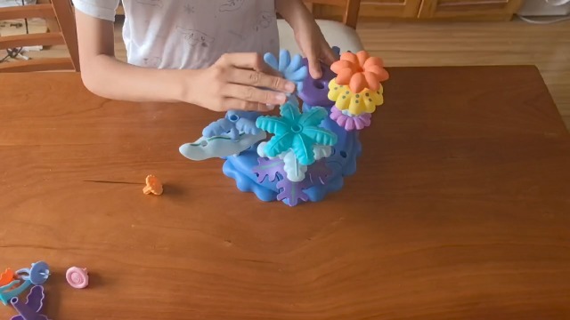 置物 pacific ocean Amazon.com: Safari Ltd. Pacific TOOB - 10 Miniature Marine Animal