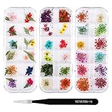 Kompakte Verpackung - 100% natürliche getrocknete Blumen, kein Farbstoff, ungiftig, aus hochwertigen Materialien hergestellt, bringen Ihnen eine charmante und elegante Nagelkunst. Jede Art von Trockenblume ist in einer unabhängigen Schachtel verpackt. Sie können die Schachtel einzeln öffnen oder ganz öffnen und von Nässe und Staub fernhalten.