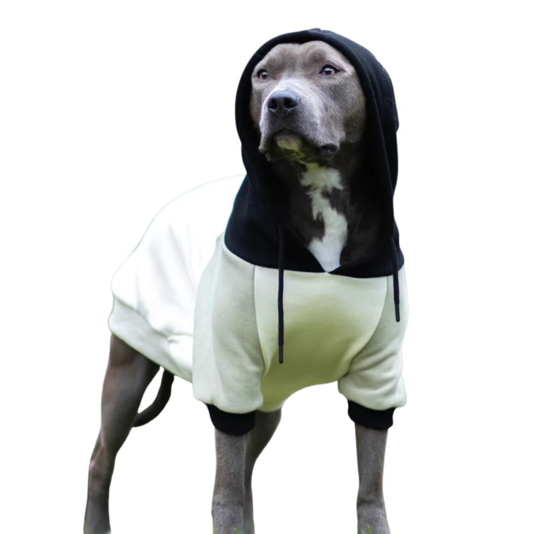 Spark Paws Hunde-Kapuzenpullover – Premium-Qualität, butterweich, hervorragender Komfort und Passform, beruhigende Fleece-Innenseite, geeignet für alle Rassen - Olivencreme - 4XL