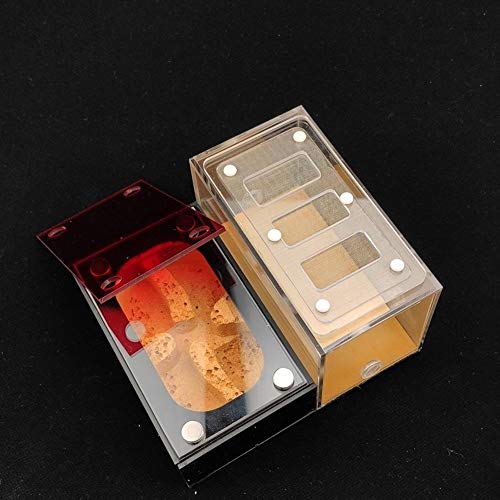 ZSBY Mieren Boerderij Insect Ant Villa Platte Mieren Boerderij Mieren Nest Acryl & Beton Mieren Huis Voor Messors… - Afbeelding 4