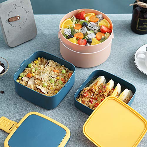 Bento Box,Bento Box con 2 Scomparti,Lunch Box con