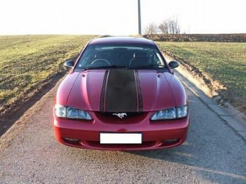 PEMAViper Stripes Dodge - for all Cars - Tuning M5 - 3 Stripes 3900 mm x 300 mm + 2 3900x56