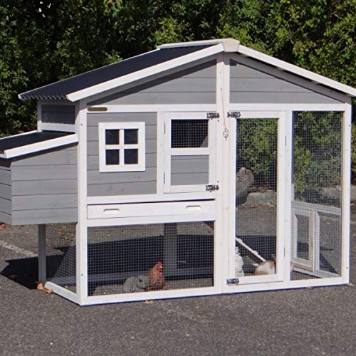 JoyPet.eu Chicken coop Niels with plastic roof and nest box 187x72x120cm