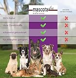 mascota vital - Getrocknete Ziegenohren für Hunde – 100% Natürlicher Kausnack, Schonend Getrocknet, Ohne Zusatzstoffe, Fördert Zahngesundheit & Langanhaltenden Kauspaß