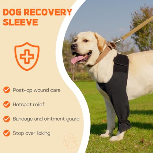 Image of Dog Recovery Sleeve for Front Leg- Single Dog Leg Sleeve to Stop Licking- Breathable Protection for Joint Pain, Elbow Injuries, Hot Spots, Surgery, Wound Care as Cone Alternative(Right,2XL)