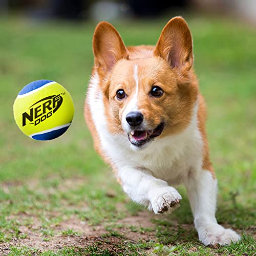 Nerf Dog VP6809 Squeak Tennis Balls Dog Toy (2 Pack) Large - Image 3