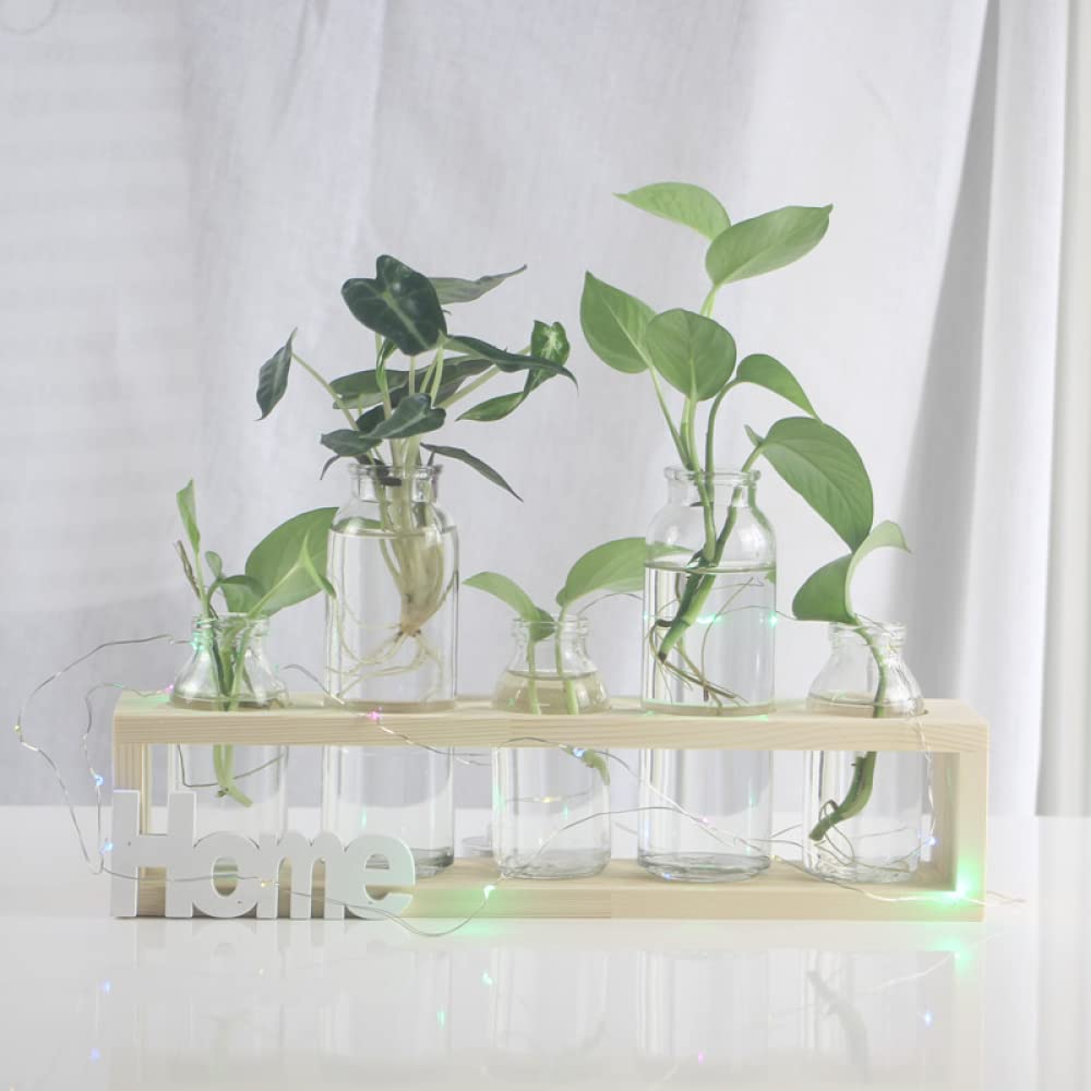 YXSH Station De Propagation des Plantes Vase Bouteille en Verre Plantes Hydroponiques Pot De Terrarium avec Support en Bois pour Mariage Bureau À Domicile Jardin Décoration De Table Vases À Bulbe
