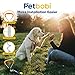 Petbobi Dog Tie-Out Cable and Stake - 30ft Heavy Duty Cable with Spring, No Tangle, 16in Ground Stake, Ideal for Yard, Camping and Beach, Suitable for Small Medium Large Dogs Up to 120 lbs, Blue