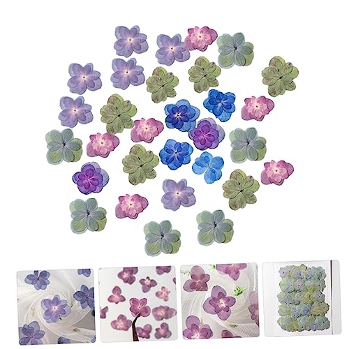 SOLUSTRE 30 flores prensadas secas para manualidades miniatura 2