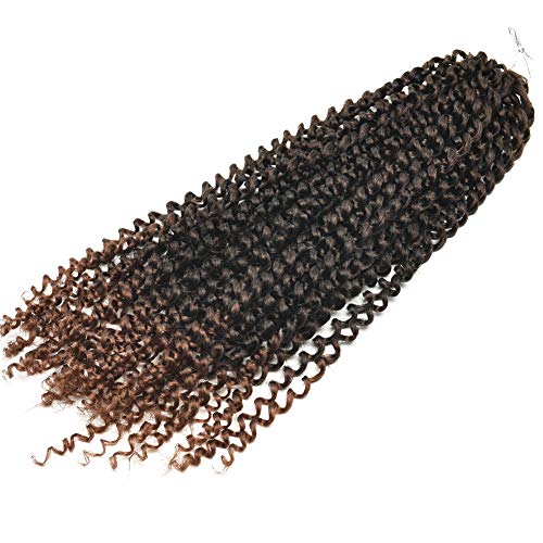 Passion Twist Crochet Hair Water Wave Ombre Bohemian Curl Braiding Crochet Hair Extensions (#1B/30 18inch 6packs)