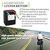 BtrPower 48V 20AH LiFePO4 Ebike Battery with 3A Fast Charger,40A BMS for Electric,Scooter,Bicycles,Motorcycle Battery 250W - 1000W Motor #5