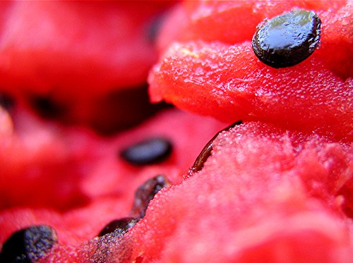 100% Organic Watermelon Seed Oil | Imported From Egypt | Various Sizes | 100% Pure | Cold-Pressed | Natural Moisturizer for Skin, Hair and Face | By Sweet Essentials (4 fl oz Glass Bottle)