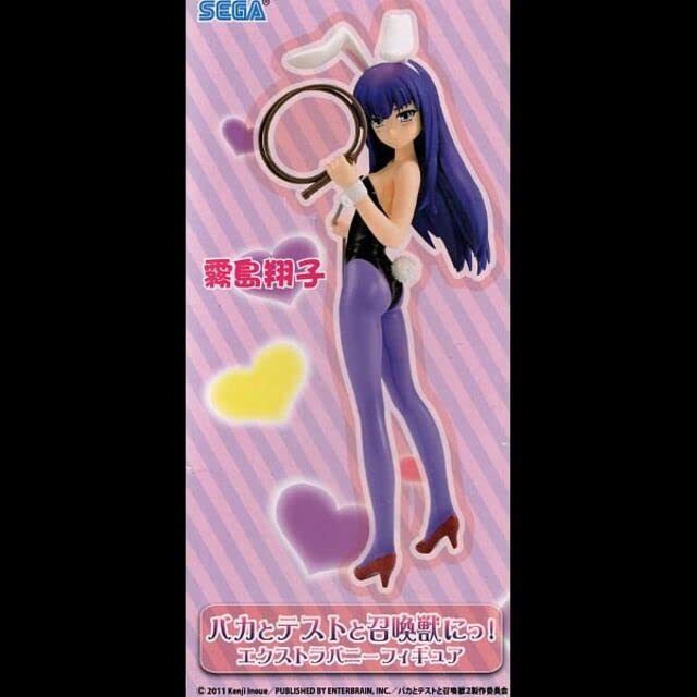 Amazon.co.jp: 霧島翔子 バカとテストと召喚獣エクストラバニー