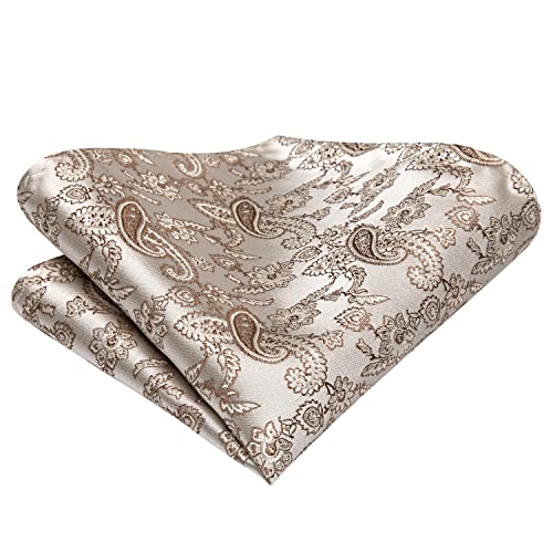 Image of Hi-Tie Silk Champagne Paisley Ties for Men Floral Jacquard Necktie and Pocket Square Lapel Pin Silver Tie Clip Cufflinks Set Wedding Business 6PCS