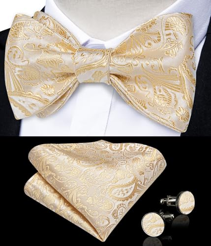 Image of DiBanGu Paisley Bow Ties for Men Silk Self Tied Bowtie and Pocket Square Cufflinks with Lapel Pin for Wedding Party
