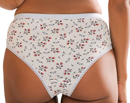 Image of Women Hipster White Panty | ELGANTE ELPPWCL1015 P
