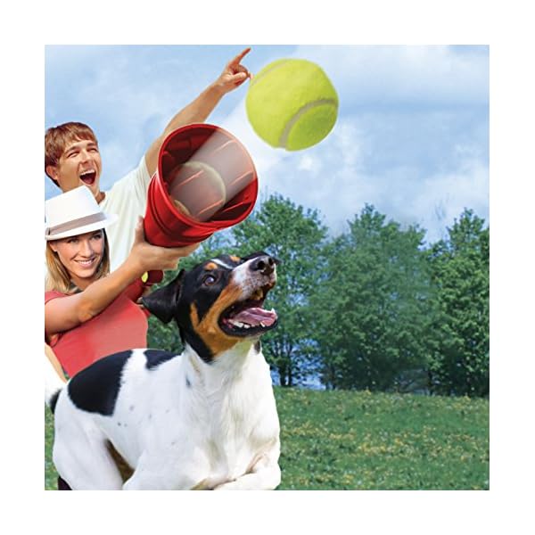 Interactive Toys for Large Dogs