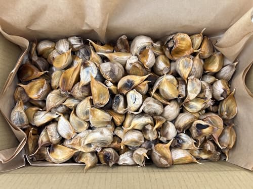 XY ɂɂ nzCg6 Ɩp 10kg 󂠂 jjN