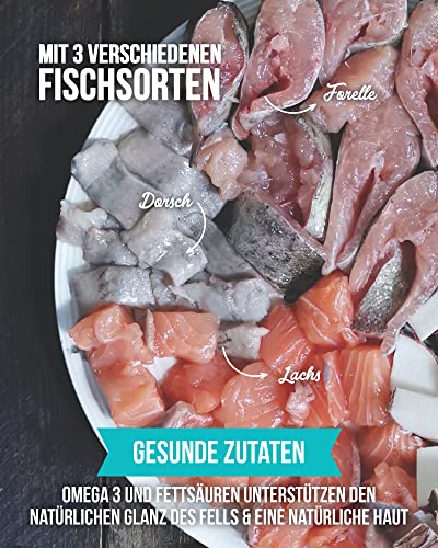 Tales & Tails Schleckertubenpaket Fisch Mix | Futtertube Für Hunde zum Befüllen | 6X 100g Nassfutter | Ideales Hundetraining | Wiederverwendbare Tube