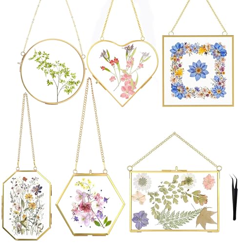HBLEDOT Pressed Flower Frames Double Glass Hanging Picture Frames 6PCS