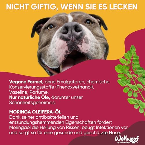 Wellwoof 100% Natürliches Nasenbalsam für Hunde - Repariert und Schützt Rissige Hundenase mit - Vegane & beim Ablecken Nicht Giftige Nasenpflege Hund - Made in Italy