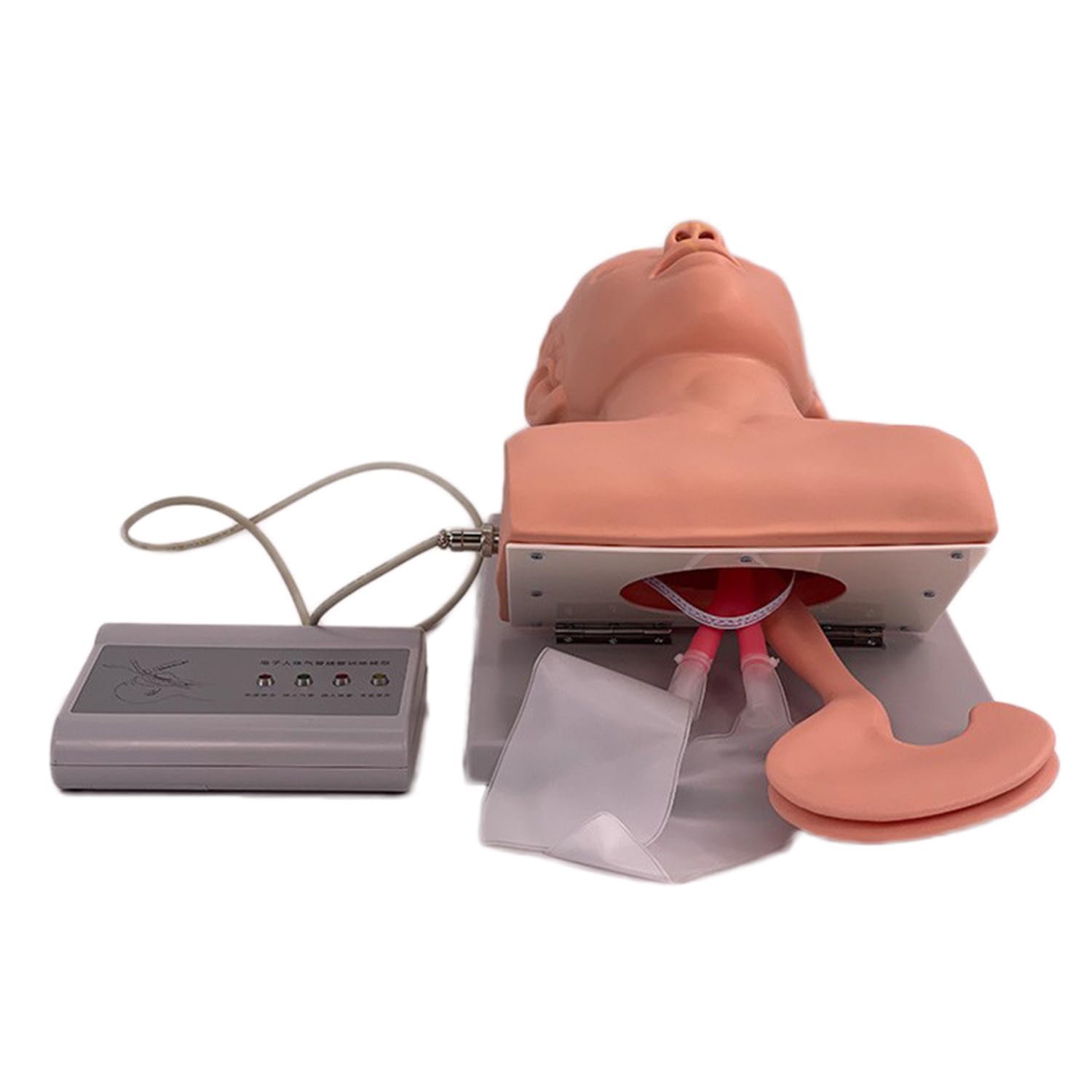 Simulatore di Formazione intubazione, PVC Manikin Adulto per la Gestione delle Vie aeree orali e nasali, Modello di Istruzione tracheale, Compatibile con l'alimentazione elettrica 110-220V