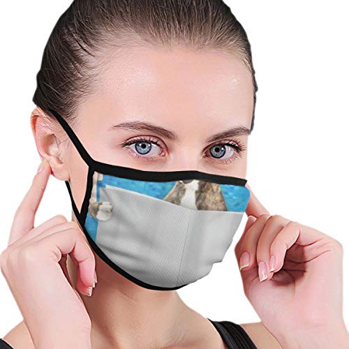 Gesichtsbedeckung,Boxer Dog Read Book Mosaic,Sturmhaube Unisex Wiederverwendbar Winddicht Staubschutz Mund Bandanas Outdoor Camping Motorrad