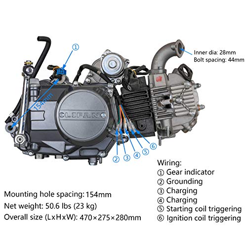 TDPRO Full Set of Lifan 125cc Engine Semi-Auto 4 Stroke Motor with Wiring Harness Carburetor Chain Sprocket Exhaust Muffler Pipe for Honda Trail Bike CT70 90 110 125 Dirt Bike Trike
