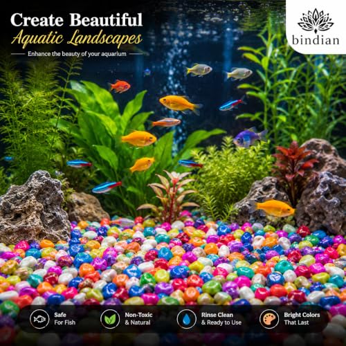 Image of Bindian Decorative Pebble Stone, Multicolour, Natural Stone, Smooth & Polished, for Aquarium, Garden, Plant Pot, Fountain Decor (3 Kg, Multicolor)
