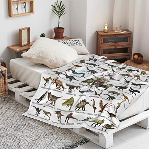 Kids Jurassic World Park Dinosaur Blanket For Boys Girls Room Decor, Cute Cool Dino Toddler Sofa Bed Plush Throw Personalized Blanket, Chiristmas Toys Halloween Birthday Gifts Presents 50X60 Inches #TOP3