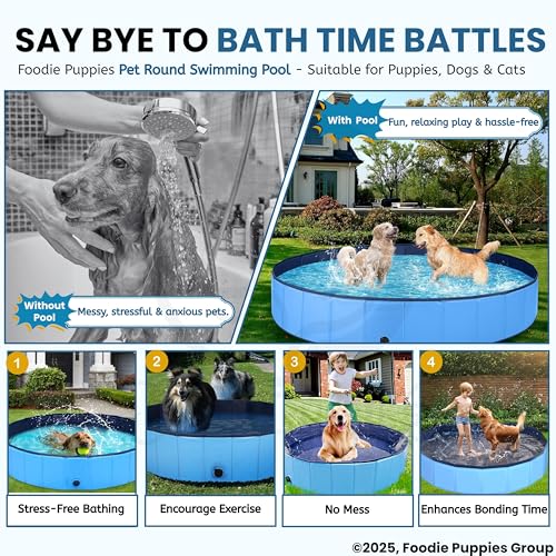Image of Foodie Puppies Portable Collapsible Dog Swimming Pool - (120 x 30 cm), Bath Tub for Dogs and Cats, Slip-Resistant Pet Wading Pool for Indoor and Outdoor, Durable PVC, Anti-Skid Bottom, Large Size