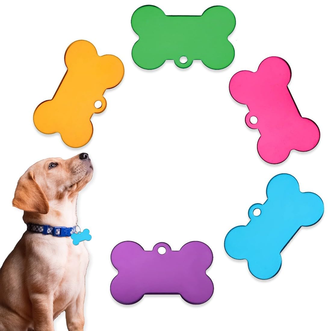SIOPPKIK 5 Piezas Etiqueta para perro con forma de hueso,Placas de identificación Perro Etiquetas del Mascotas Forma de Huesoidentificación Perro Etiquetas del Mascotas (38X25mm)