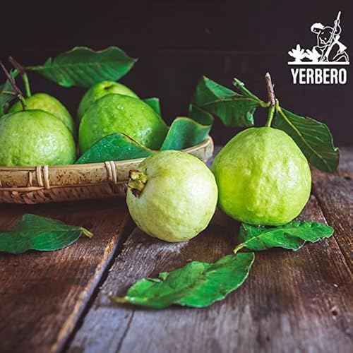 Yerbero - Herbal Mix Guava Leaf + Ginger + Cinnamon 2Oz (56Gr) Herbal Tea | Compuesto Herbal Hojas De Guayaba + Canela + Jengibre | | Wilfcrafted Premium Tea 100% All Natural Fresh Tea Tea | Non-Gmo | Gluten-Free. #TOP3