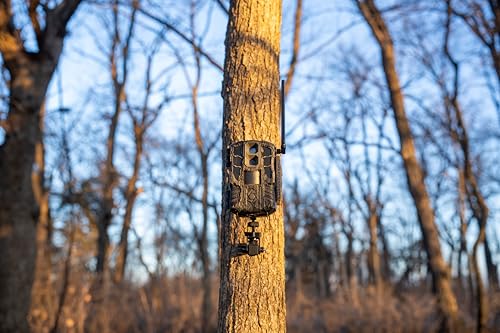 Image of Stealth Cam Spectre 4K Dual-Core Cellular Trail Camera - 40MP - 4K Video - 80Ft Detection