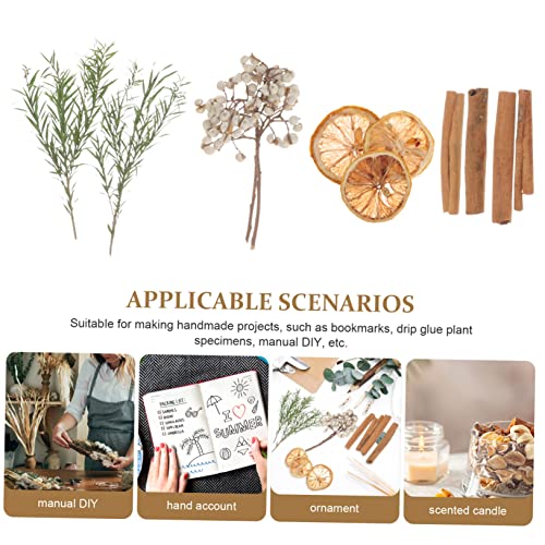 Kit de Flores Secas para Manualidades y Decoración miniatura 6
