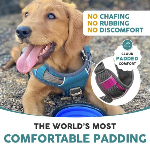 Embark Adventure Xl Dog Harness No-Pull Dog Harnesses For Extra Large, Medium And Small Dogs. 2 Leash Clips, Front & Back With Control Handle, Adjustable Pink Dog Vest, Soft & Padded For Comfort #TOP5