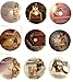 PENTHOUSE DVDs LOT OF 6. THE MOST BEAUTIFUL (Magazine BONUS DVDs)