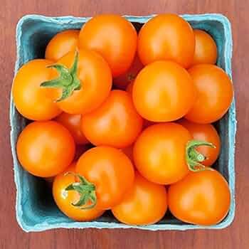 Amazon.com : Toronjina F1 Hybrid Cherry Tomato Seeds
