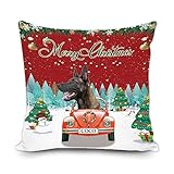 Photo Gallery federa per cuscino con motivo "merry christmas", motivo: malinois belga in auto, albero di natale con pupazzo di neve e fiocco di neve, cuscino invernale 40 x 45 cm, stampa quadrata su due lati Photo Gallery federa per cuscino con motivo "merry christmas", motivo: malinois belga in auto, albero di natale con pupazzo di neve e fiocco di neve, cuscino invernale 40 x 45 cm, stampa quadrata su due lati