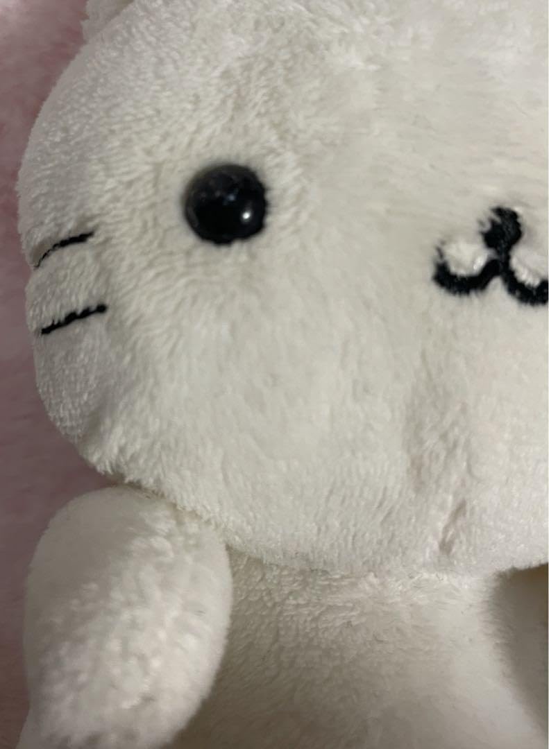 にゃんにゃんにゃんこ にゃんこパーティー にゃんこプレゼント