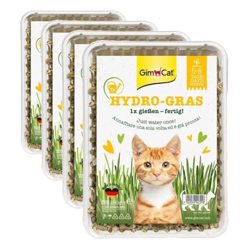 GimCat Hydro-Gras - Hierba Fresca para Gatos, de plantación controlada, en Tan Solo de 5 a 8 días - 1 Bandeja (1 x 150 g) (Paquete de 4)