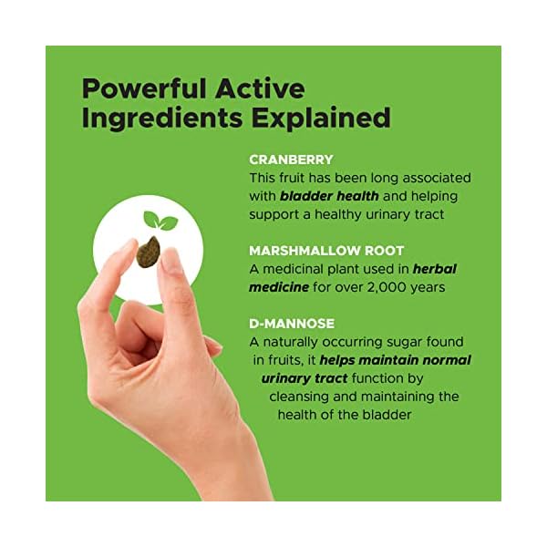 PetHonesty-Cranberry-Bladder-Health-for-Dogs–Contains-Active-Ingredients-Cranberry-D-Mannose-to-Help-Support-Dog-Urinary-Tract-Health-Dog-Bladder-Support-Kidney-Support-for-Dogs-Bacon PetHonesty-Cranberry-Bladder-Health-for-Dogs–Contains-Active-Ingredients-Cranberry-D-Mannose-to-Help-Support-Dog-Urinary-Tract-Health-Dog-Bladder-Support-Kidney-Support-for-Dogs-Bacon