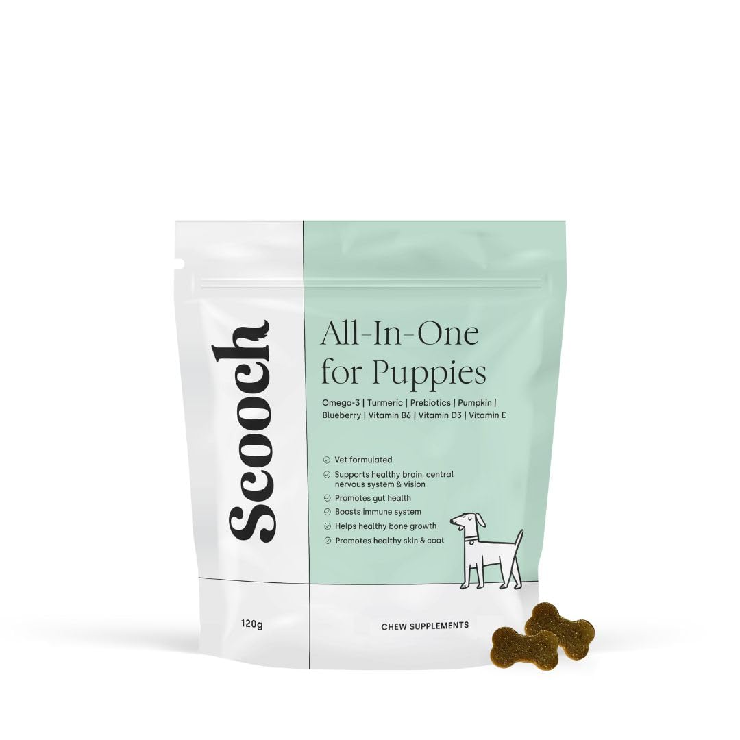 Vet Formulated Scooch Puppy All-In-One Multi Supplement To Prevent The Most Common Conditions | Support Gut, Skin, Joints | Premium, Natural, Human Grade, Hypoallergenic | Approx 60 Crunchy Chews