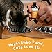 Liquid Glucosamine Chondroitin with MSM for Cats, Hip & Joint Support Cat Supplement, Glucosamine Drops for Senior Felines with Arthritis, 2 Oz