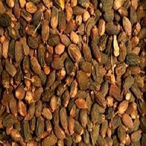 Indica Ayurvedic Herbal 250g NEEM SEEDS Azadirachta WHOLE