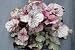 3 Northern Exposure Silver Heuchera in 3 inch Size Plugs/Coral Bells-Plugs Removed from Tray, and Stretch Wrapped for Transit