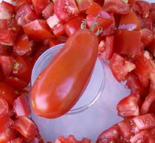 Tomate San Marzano Great Heirloom Garden Vegetable by Seed Kingdom BULK 14 lb Seeds