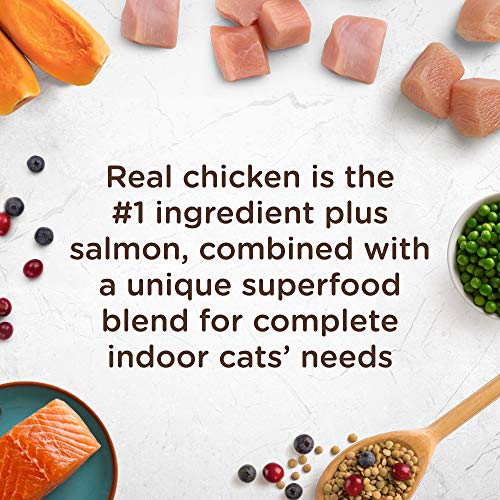 Nutrish 790031 Rachael Ray Indoor Complete Premium Natural Dry Cat Food thumb #4