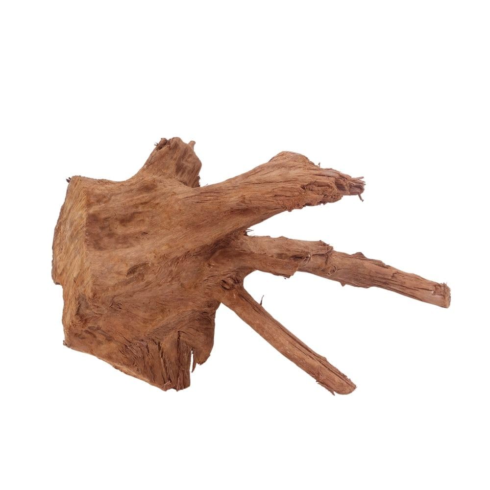 AquaOne Racine d'aquarium en bois véritable n° 4008 - Racine de mangrove - Décoration en bois naturel