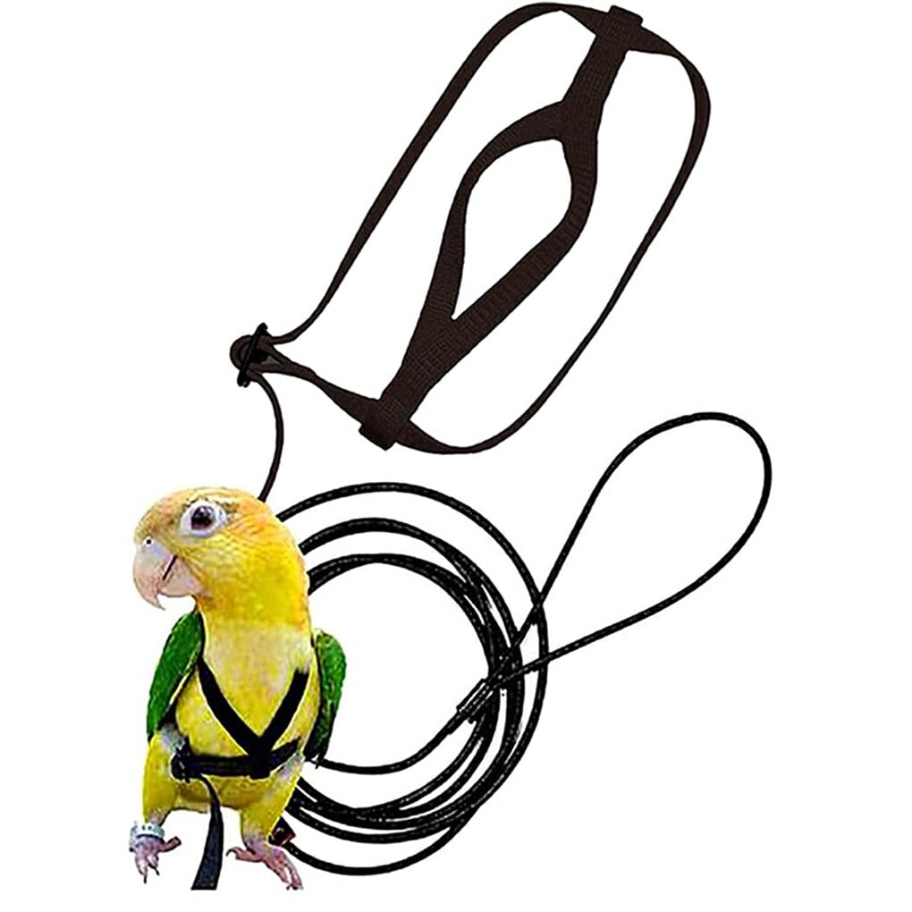 budiniao Sturdy And Durable Parrot Harness Adjustable Rope For Pet Parrot Pet Parrot Bird Harness And Leash Nylon Parrot Leash